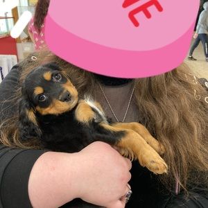 Meet your Posher, Emily